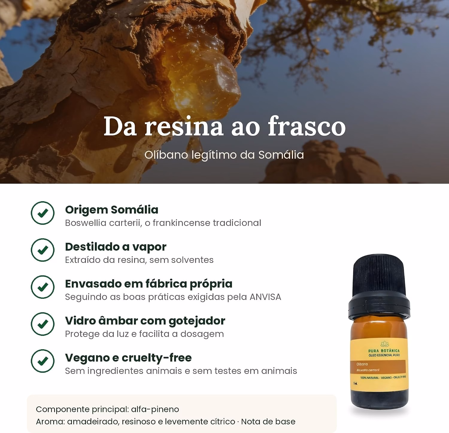Óleo Essencial de Olíbano (Frankincense) 5 mL Pura Botânica