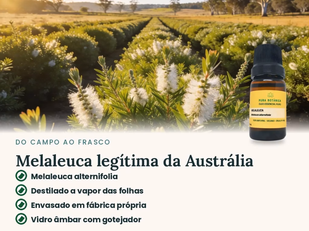 Óleo Essencial de Melaleuca – Pura Botânica