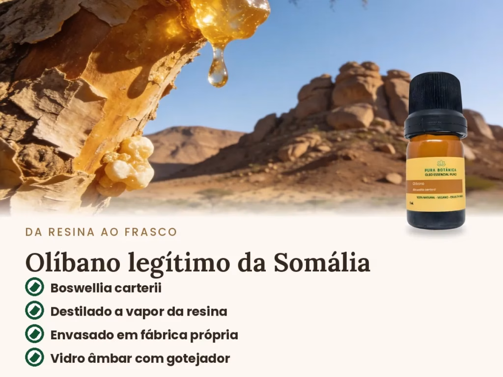 Óleo Essencial de Olíbano – Pura Botânica
