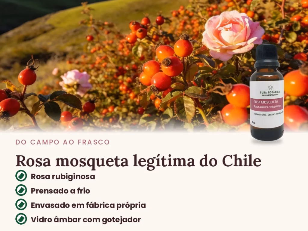 Óleo Vegetal de Rosa Mosqueta – Pura Botânica